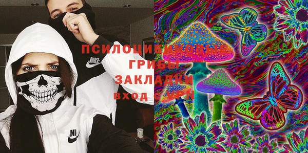 мяу мяу мука Алексеевка
